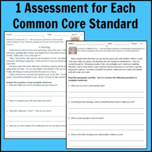 3rd Grade Common Core Reading Assessments for Standards-Based Grading Thumbnail 2