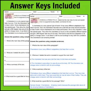 4th Grade Common Core Reading Assessments for Standards-Based Grading Thumbnail