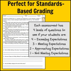 5th Grade Common Core Reading Assessments for Standards-Based Grading Thumbnail