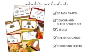 's Included 1