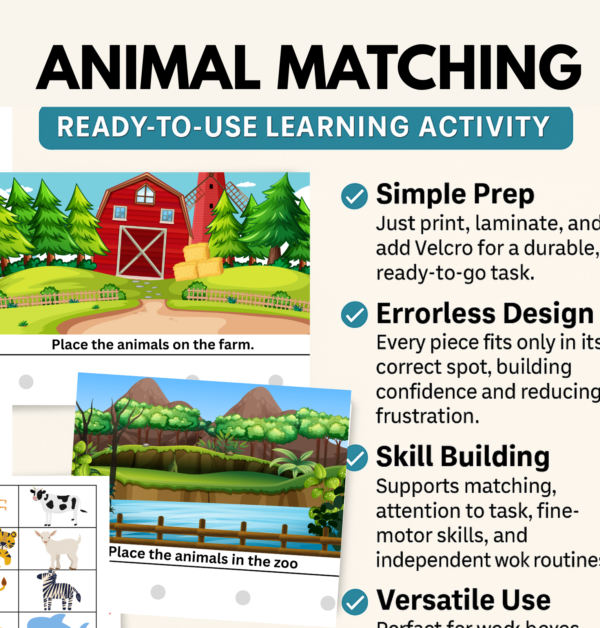 animal matching
