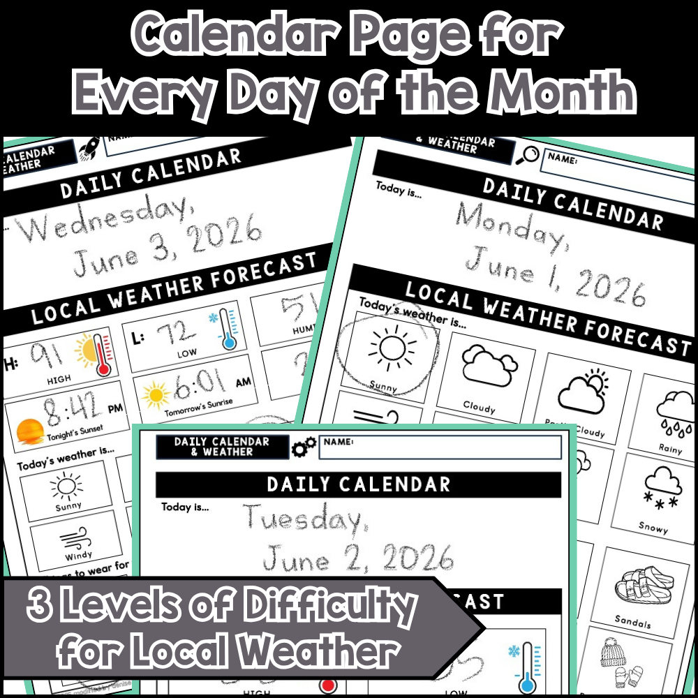 June Daily Calendar & Weather Life Skills Worksheets