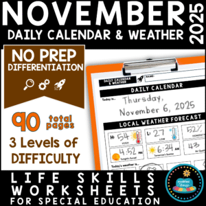 November Daily Calendar & Weather Life Skills Worksheets