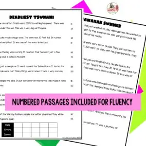 Winter Reading Comprehension Thumbnail6