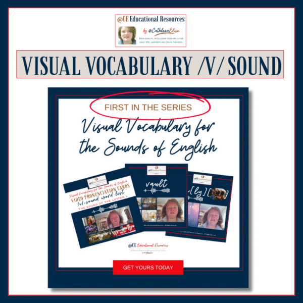 cropped-TS-Product-Preview-Pages-Visual-Vocab-v-page-1.png