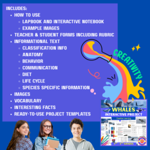 Z 31 Whales Interactive b
