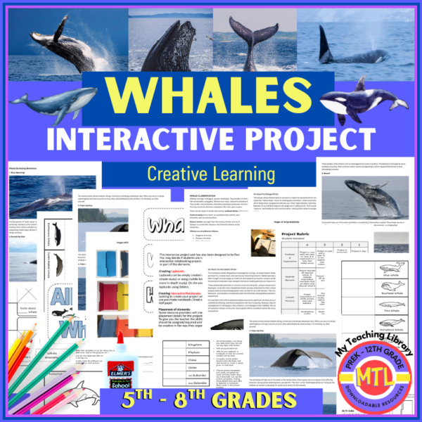 cropped-Z-31-Whales-Interactive.png
