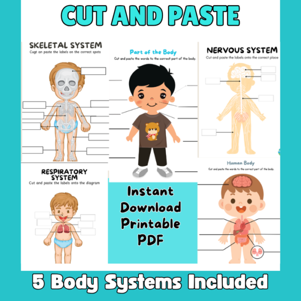 body systems front