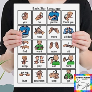 asl main