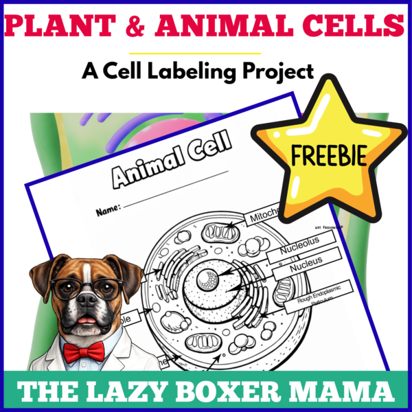 Animal Cell Labeling Worksheet Printable Life Science Activity for Middle School