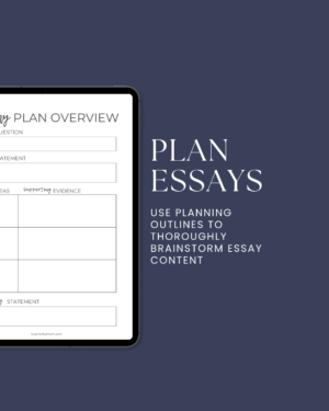 Plan Essays Mock Up