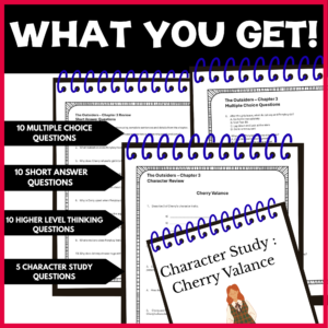 What you get Chapter 3