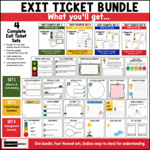Exit Ticket Bundle What youll get 2