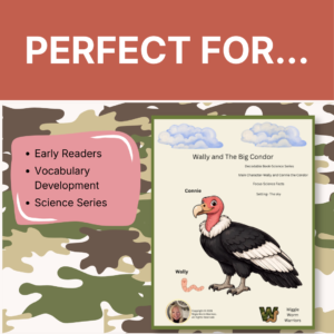 Thumbnail - Why Teachers Love It (2)