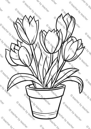 Spring tulips coloring page showing blooming tulips in a terracotta flower pot