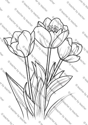 First Day of Spring Coloring Pages Activity Sheet Sample Preview Page 2 for Students
