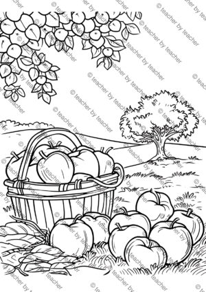 Apples Coloring Pages Activity Sheet Sample Preview Page 2 for Students