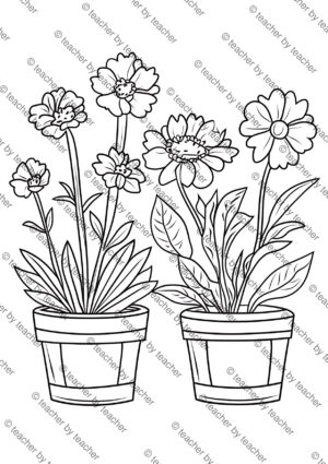 Spring flowers coloring sheet showing twin flower pots with blooming daisies and marigolds