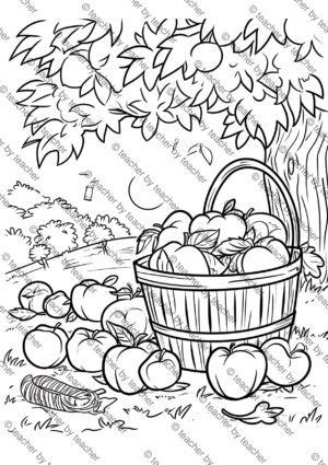 Apples Coloring Pages Activity Sheet Sample Preview Page 3 for Students